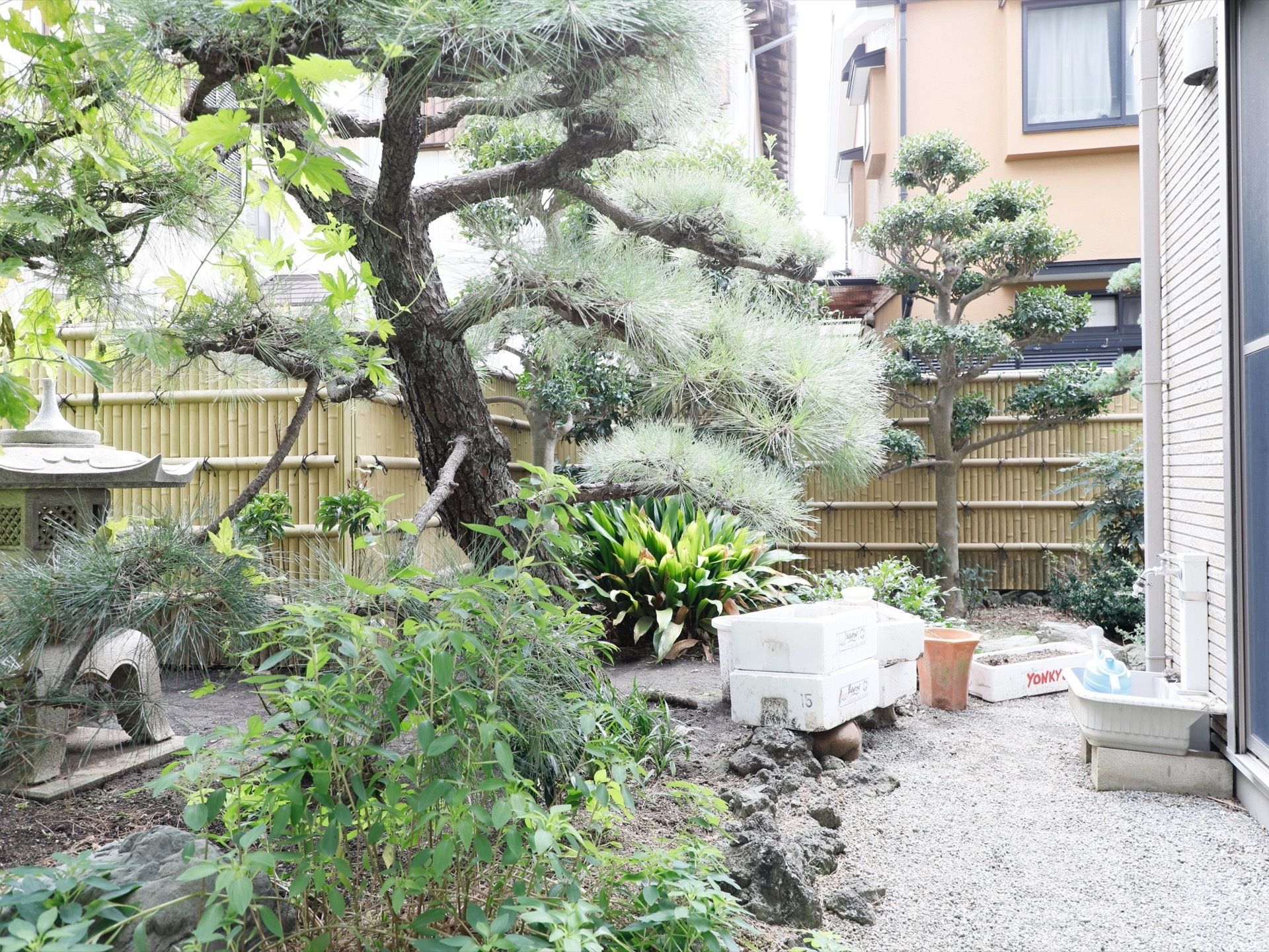 庭が用意されており、松の木が植えられている。見た目にも心を落ち着けるものになっており、和やかな雰囲気を作っている。