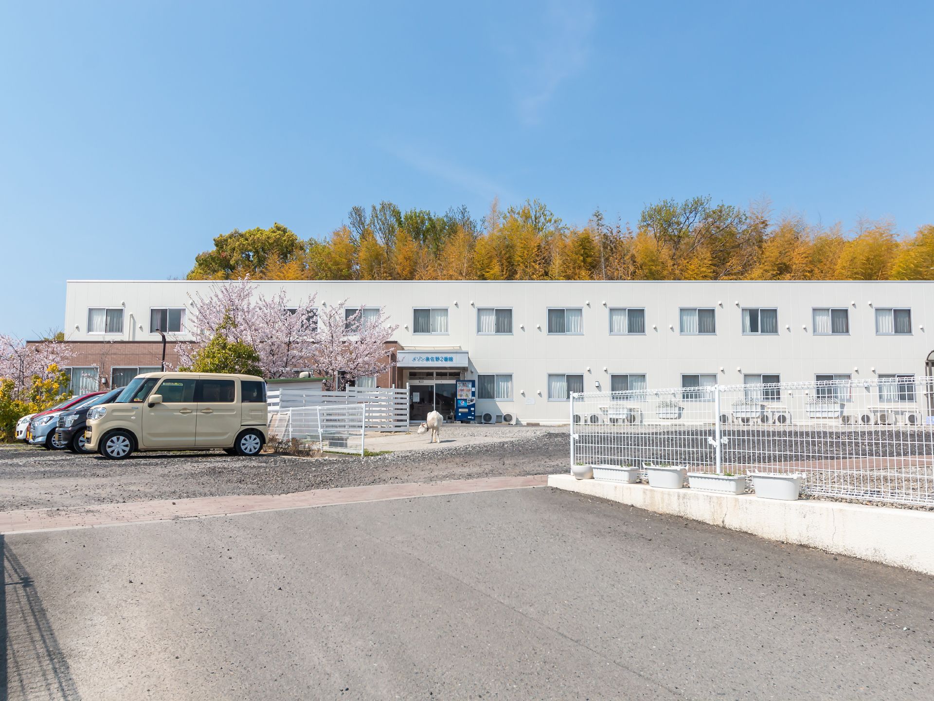 ２階建ての施設