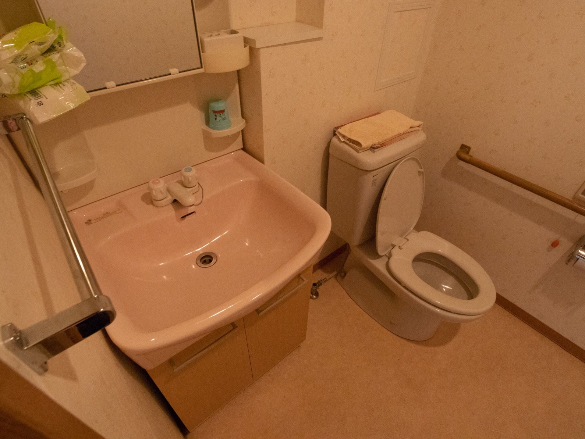 洋式トイレと洗面台がある。洋式トイレの横の壁には手すりと緊急呼び出し用のボタンが備え付けられている。また、洗面台は収納場所が多い。