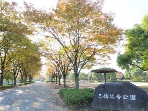 入口から伸びる並木道で豊かな緑を眺めながら散策ができる。公園内には東屋もあり、休憩やピクニックなどに適している。