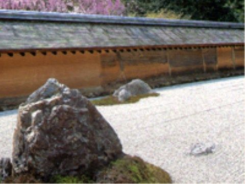 古びた塀の向こうに花を咲かせた木が見える、ところどころ大きな庭石を配した石庭