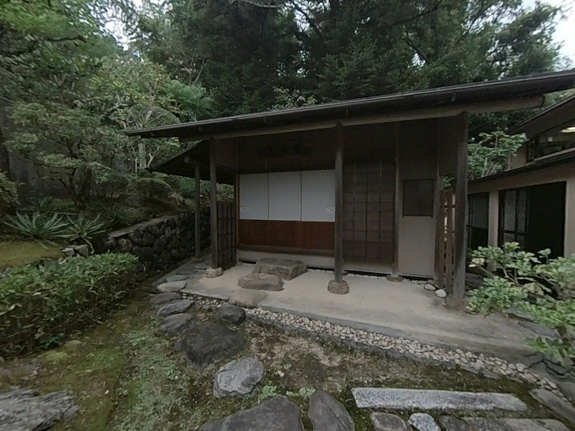 大きな木、庭石、苔むした土の向こうの古びて見える茶室