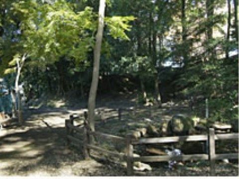 木々が立ち並ぶ、緑あふれる空間である。遊歩道に木の柵が設けられており、歩く人たちの安全を確保している。