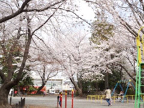 桜の花が咲き誇り、季節感を存分に感じられる場所である。鉄棒やすべり台、ブランコなどで遊ぶ子どもたちの姿が見られる。