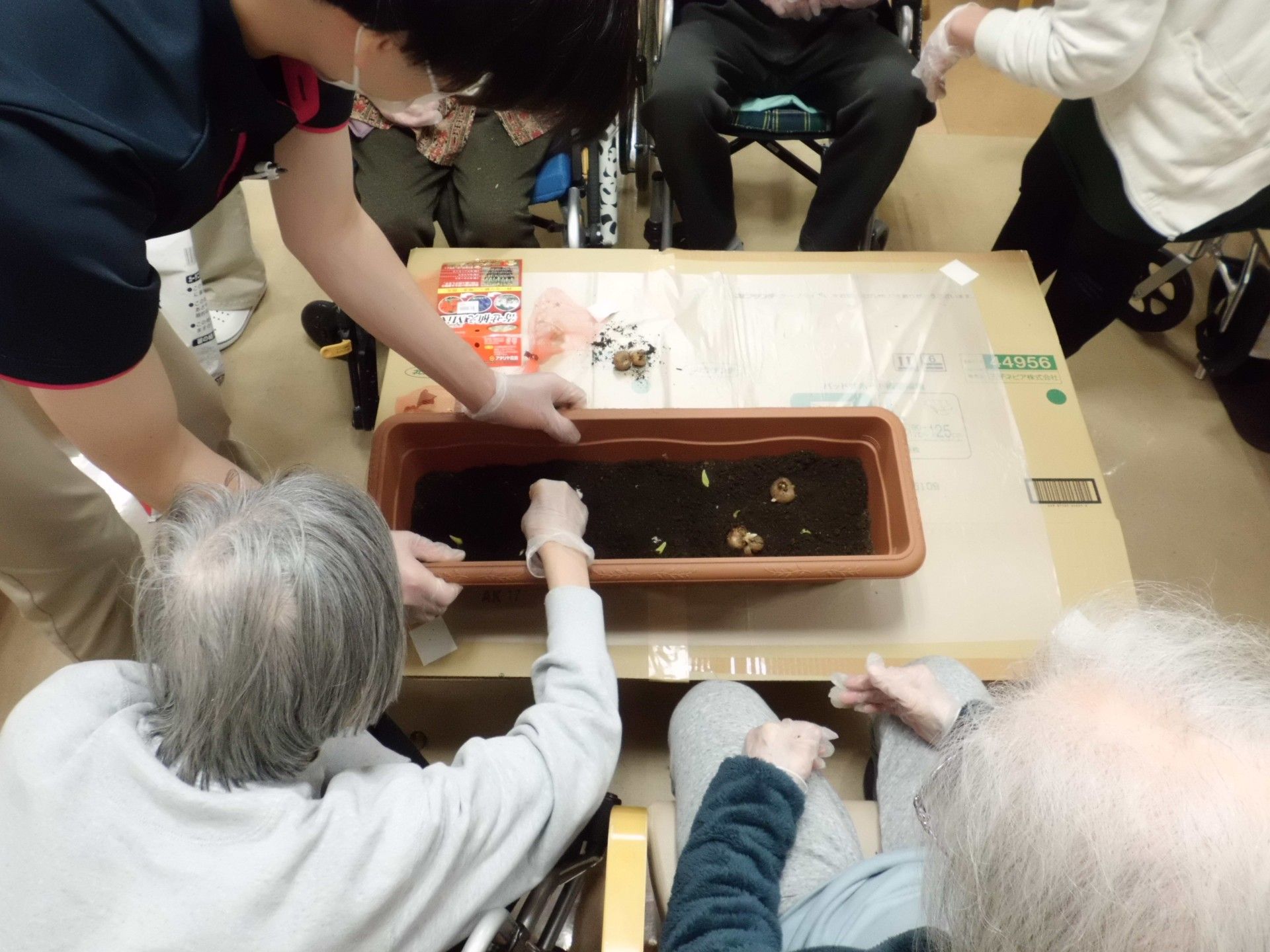 活動を行う利用者とスタッフ
