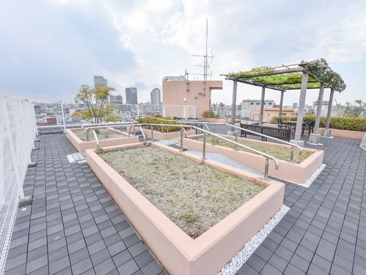 施設屋上の庭