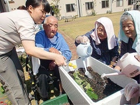 庭では野菜を植えて育てている。水やりは入居者様も行っているので、スタッフと一緒に育てて収穫する楽しみがある。