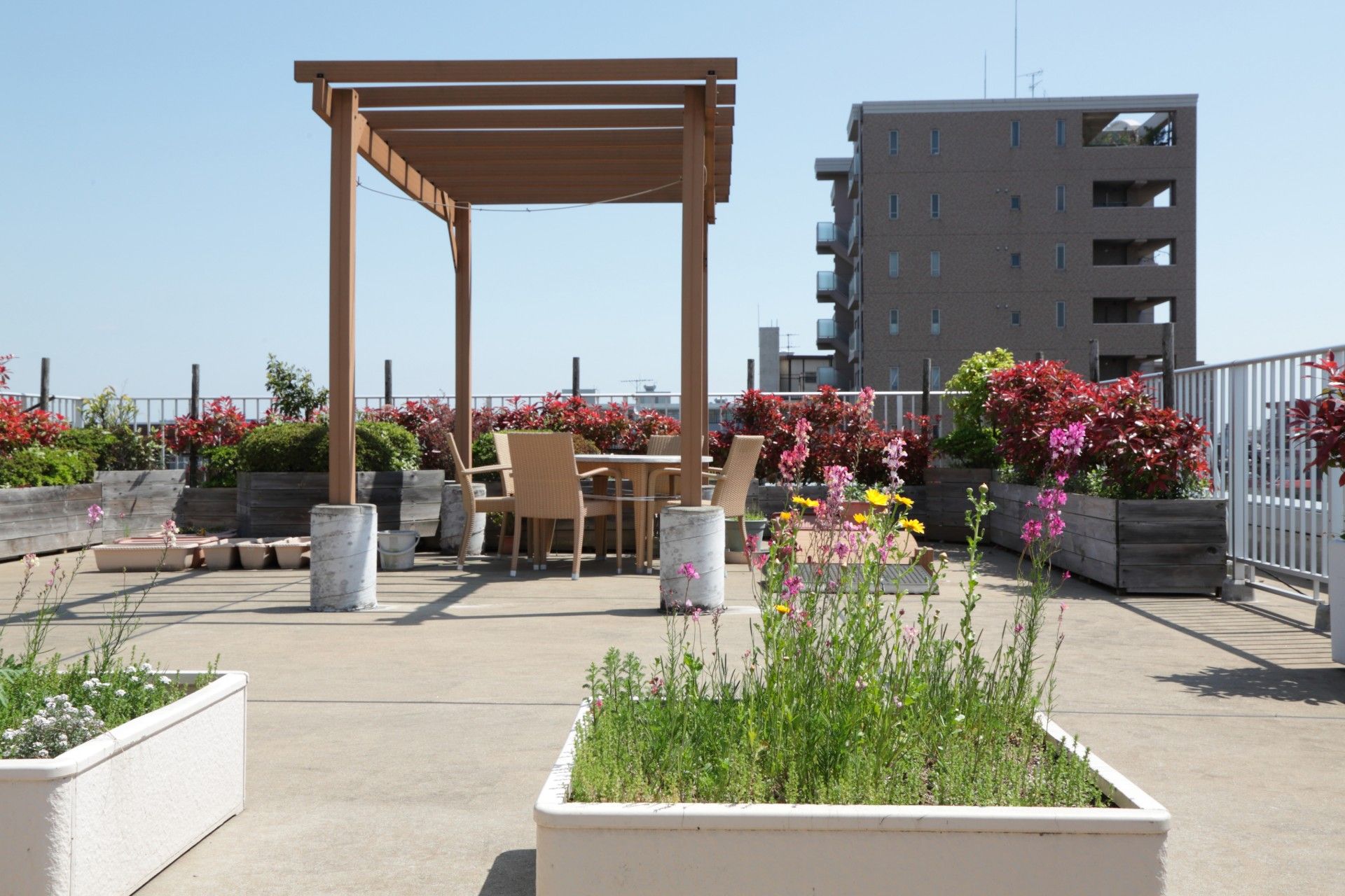 屋上庭園に配された椅子テーブル