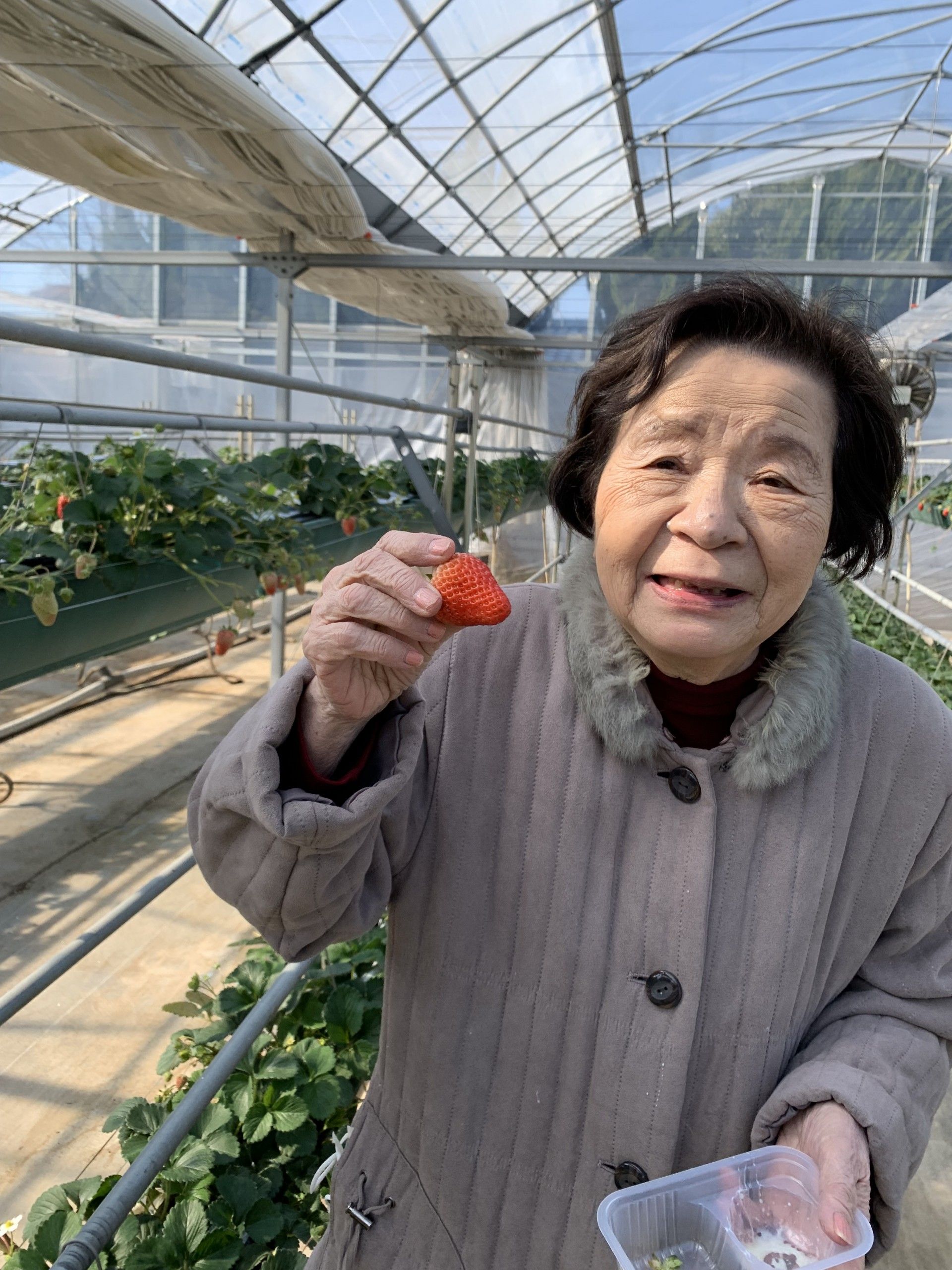 笑顔の女性とイチゴ狩り