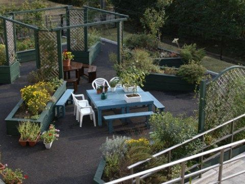 ホームの庭にウッドテーブルとベンチが置かれている。その周りは多種類の植物で囲まれている。晴れた日には庭の植物観賞が行える。
