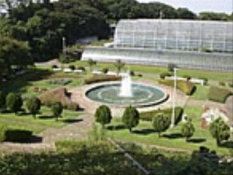 たくさんの種類の植物や果物を見ることができる農業公園が近くにあるため、外出時に訪問し自然と触れ合うことができる。