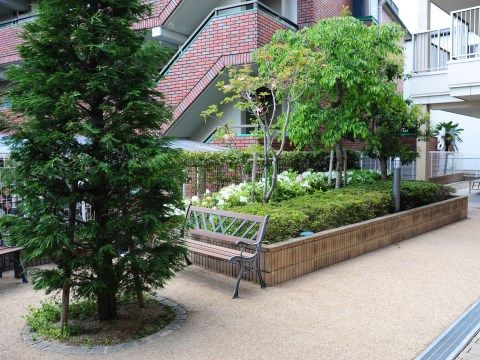 ベージュ色のコンクリート舗装の通路にレンガ積みの花壇がある。ツツジが植えられており、中央には広葉樹が数本植えられている。