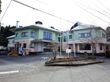 建物の外壁は下側がクリーム色、上側はミントグリーンというカラーリングになっている。道路に面したところは植え込みになっている。