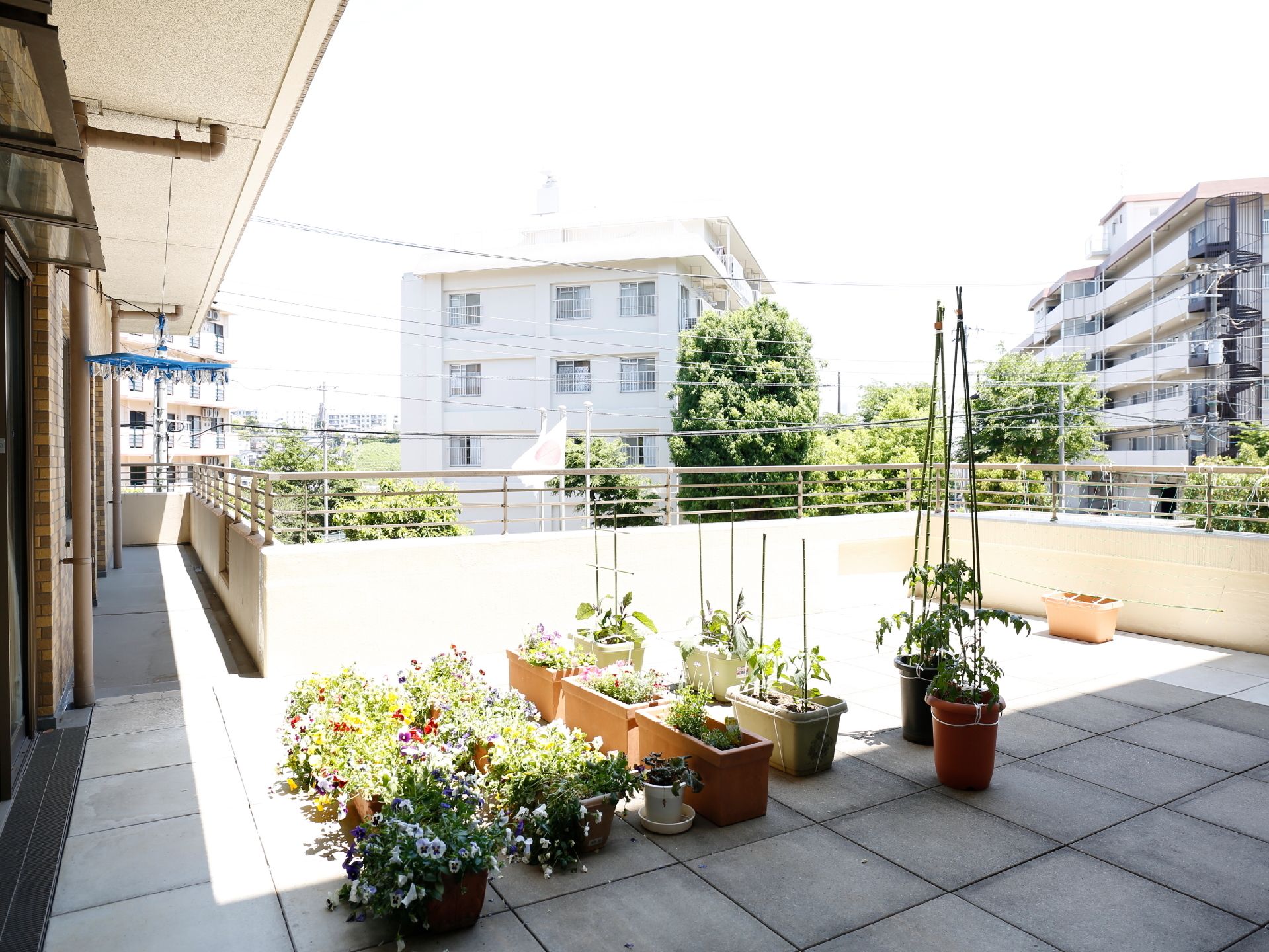 ベランダ部分には、たくさんのプランターが置いてある。洗濯物を干すハンガーがぶら下がっている。ドレインパイプが見える。