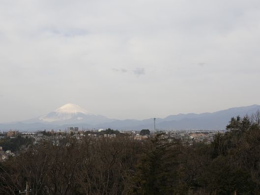 施設からの眺め