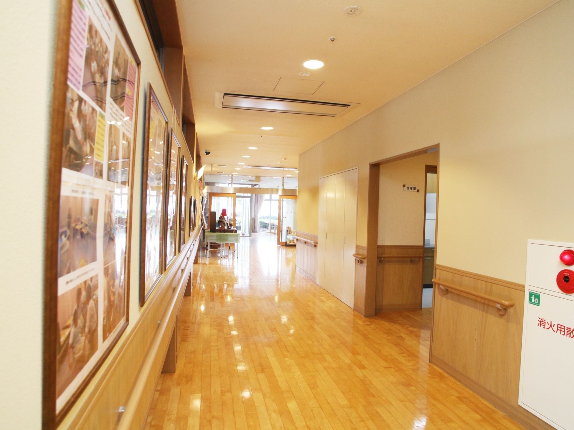 木目を活かしたフローリングの床は、光を跳ね返して光っている。玄関に近い廊下には、写真のあるパネルの展示がある。