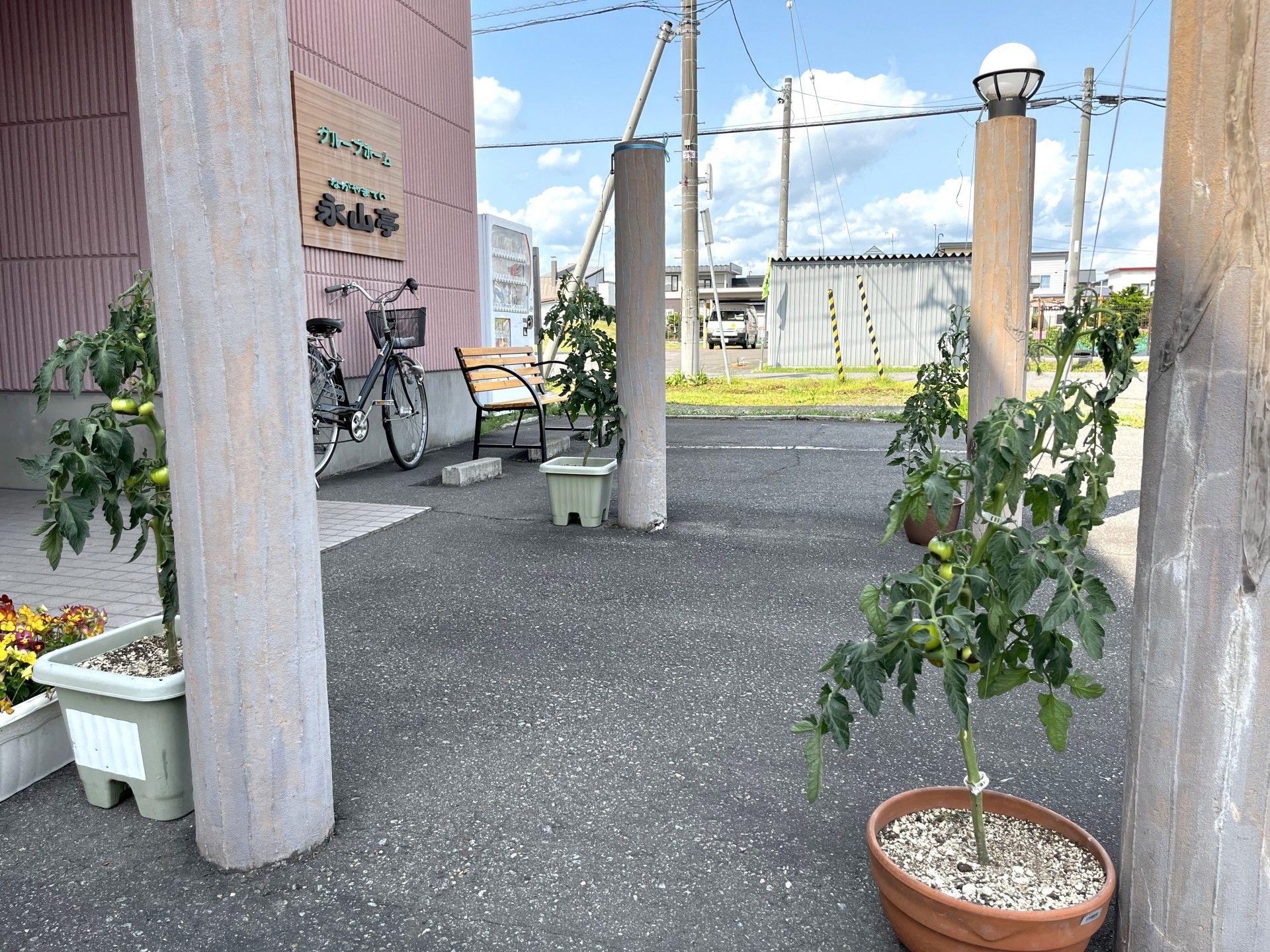 入口付近の植木鉢