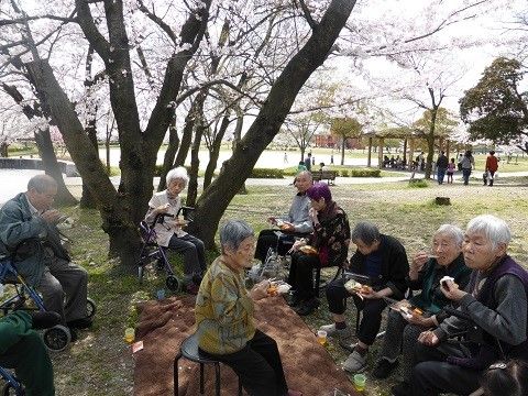 公園の桜の木の下に集まってお弁当を食べる入居者様たち