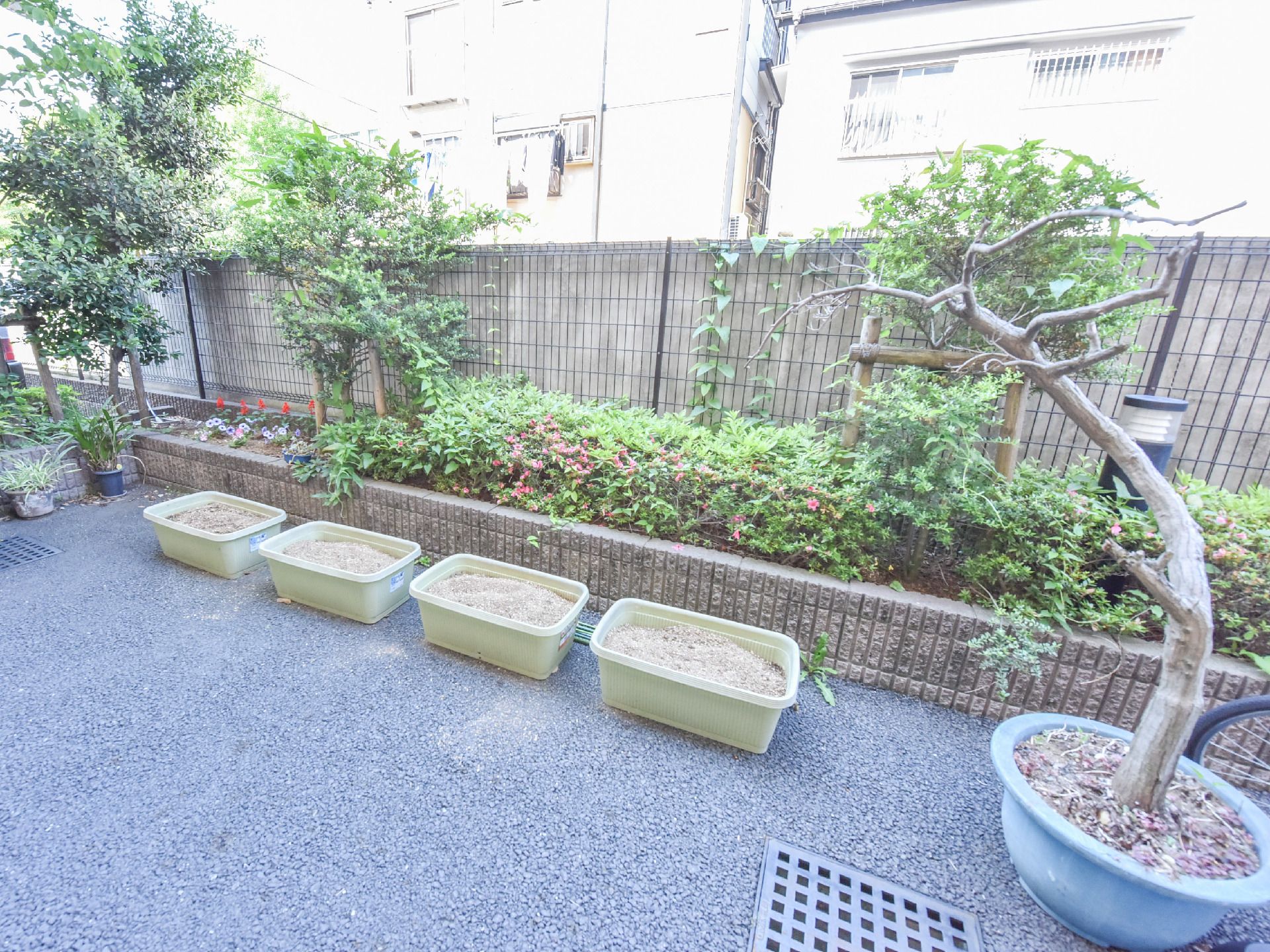 植木鉢に曲がった木が植わっている。4つ並んだプランターの中はまだ土しかない。花壇には木や花が植えてある。