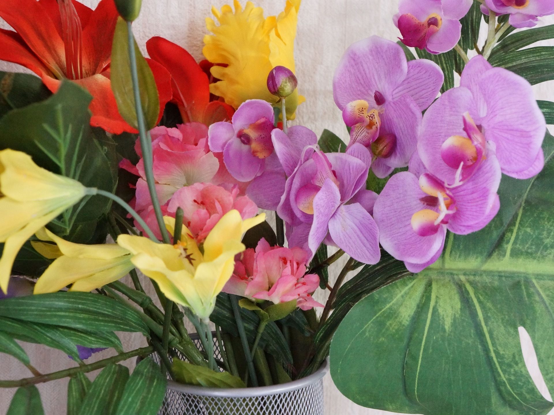 赤や黄色のカラフルな数種類の花が飾ってある。大きな葉もありダイナミックで元気が出る。白い壁にとても映えて見える。