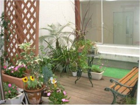 庭には、夏に強い植物が青々しく、花々は元気に咲いている。細やかな手入れがされており、四季折々の表情を見せる。