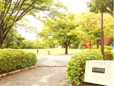 施設から徒歩圏内に緑、清々しい公園がある。毎日の健康に程よい散歩ができ、気分転換になる。入居者様に人気のある公園である。