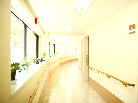 窓辺には観葉植物がおかれた白い内装の廊下。段差がなく、壁には手すりを設置している。窓からは外の風景を眺めることができる。