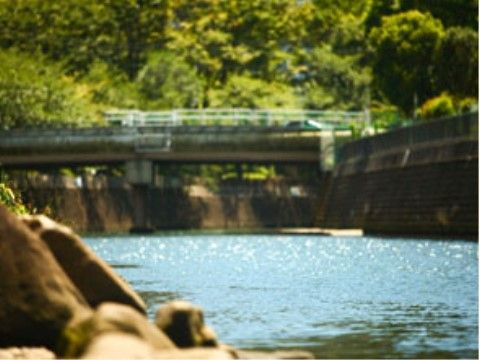 駅の近くには、きれいな川が流れ、周りには自然が残っている。散歩や、週末には川釣りを楽しむ人でにぎわっている。