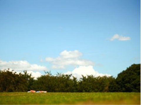 広く整備された芝生では、週末になるとピクニックをする家族連れでにぎわう。木陰もあるので、森林浴を楽しむこともできる。