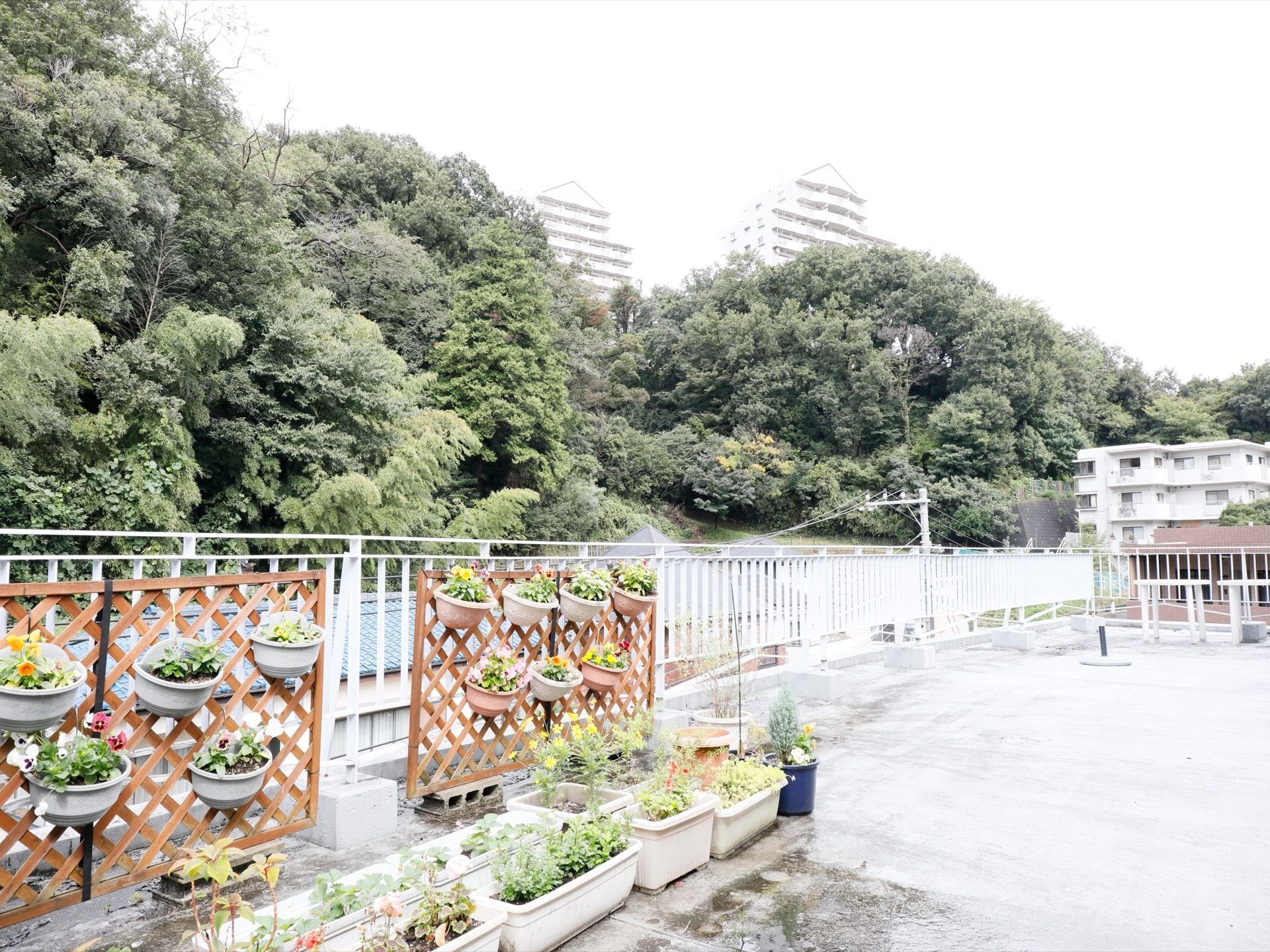 鉢植えに花や植物が植えられている。建物は住宅地にあって、建物周囲は森林に囲まれた緑豊かな環境になっている。