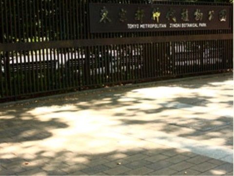 ホームの近隣にある植物公園。木漏れ日が当たる石畳の歩道があり、奥に黒い柵が続いている。柵には公園の看板が掲げられている。