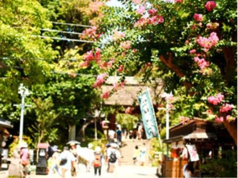 たくさんの木々に囲まれたお寺の参道。多くの人が歩いている。参道の脇には休憩処がある。奥には石段がある。