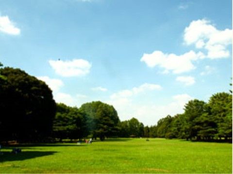 広大な土地一面に芝生が広がっている。周りには陽を遮るほどの大きさに枝葉を伸ばした木々が植えられている。