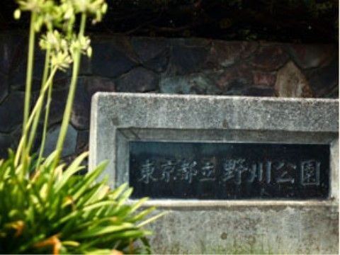 東京都が管理している公園がある。石垣で囲まれた入口も緑が豊かで、石を掘って作られた看板が設置されている。