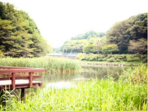 施設近くの公園には、大きな池がある。広大な自然を眺めることができるので、癒しの時間を過ごしていただける。