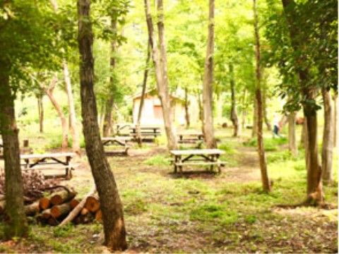 施設近くの公園は、広大な自然が広がっている。森の中にあるベンチに座って、森林浴を楽しんでいただける。