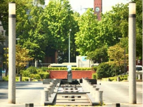 緑あふれる公園には、いつも多くの人が集まる。歩道は舗装されて歩きやすいので、散歩コースにピッタリである。