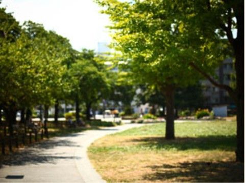 公園内の歩道は舗装されているので、とても歩きやすい。木陰に座って、読書やおしゃべりを楽しむことができる。