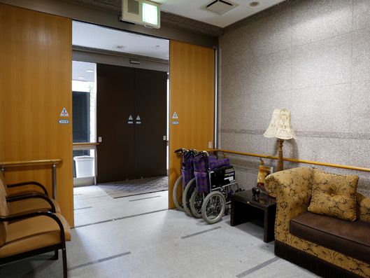 豪華なインテリアの入口