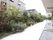 建物の裏にも通路が整えられ、沢山の植物が所狭しと植えられている。四季折々の植物が居住者の目を楽しませる。