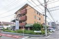 イリーゼはしもとの写真