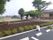 当施設の敷地内にある畑では旬の野菜を育てている。入居者様で苗を植えたり収穫したりしており、採りたての野菜を召し上がることもできる。