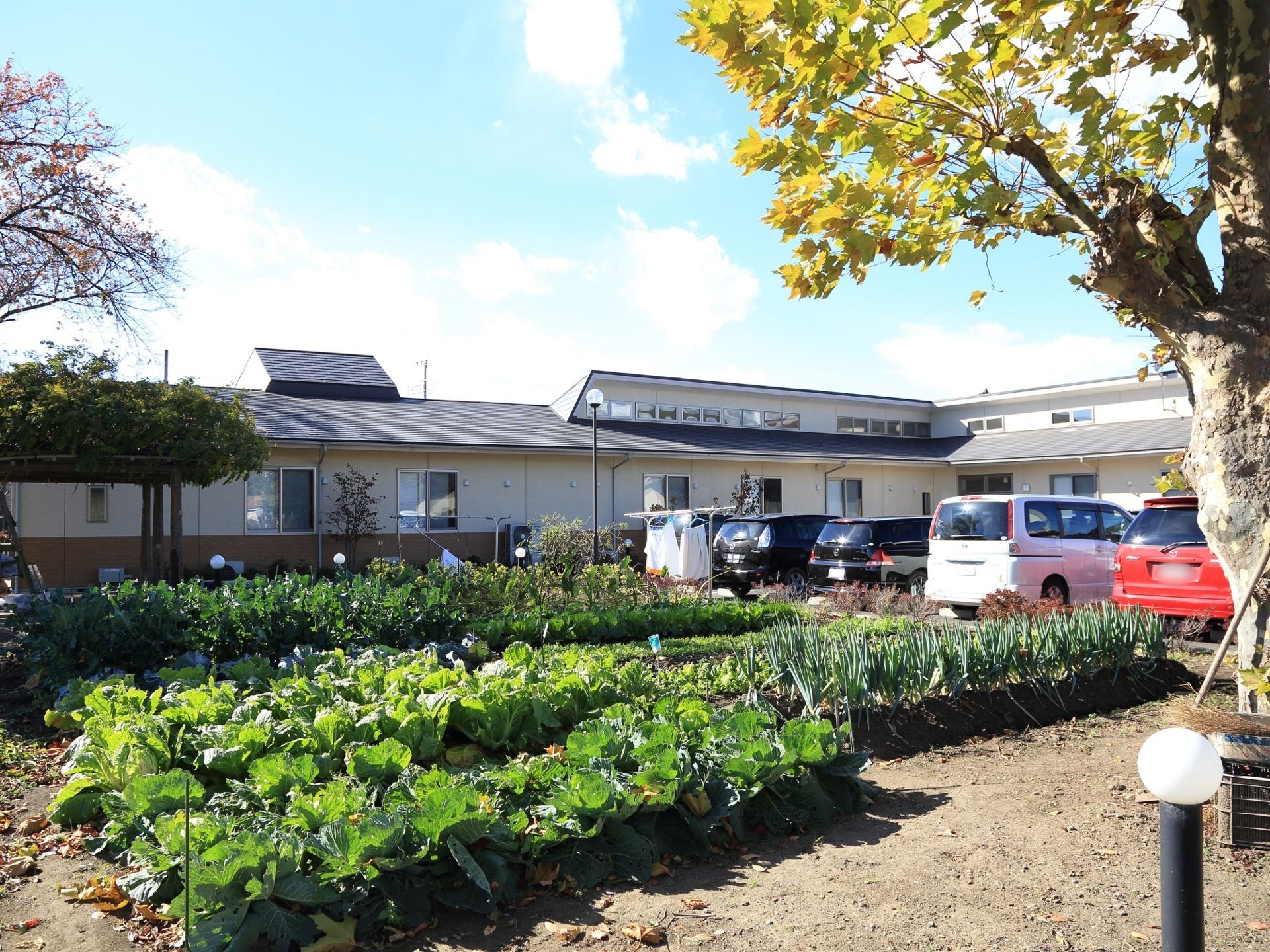 施設の外には菜園スペースがあり、好みの野菜や植物を植えることができる。野菜などを育てることで生活に張りができ、楽しんで過ごすことができる。