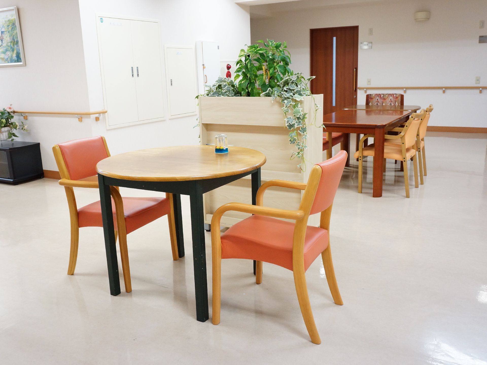 手前には向かい合わせのイスが2つとテーブルがある。奥にはツルが垂れ下がっている形の観葉植物が飾られている。