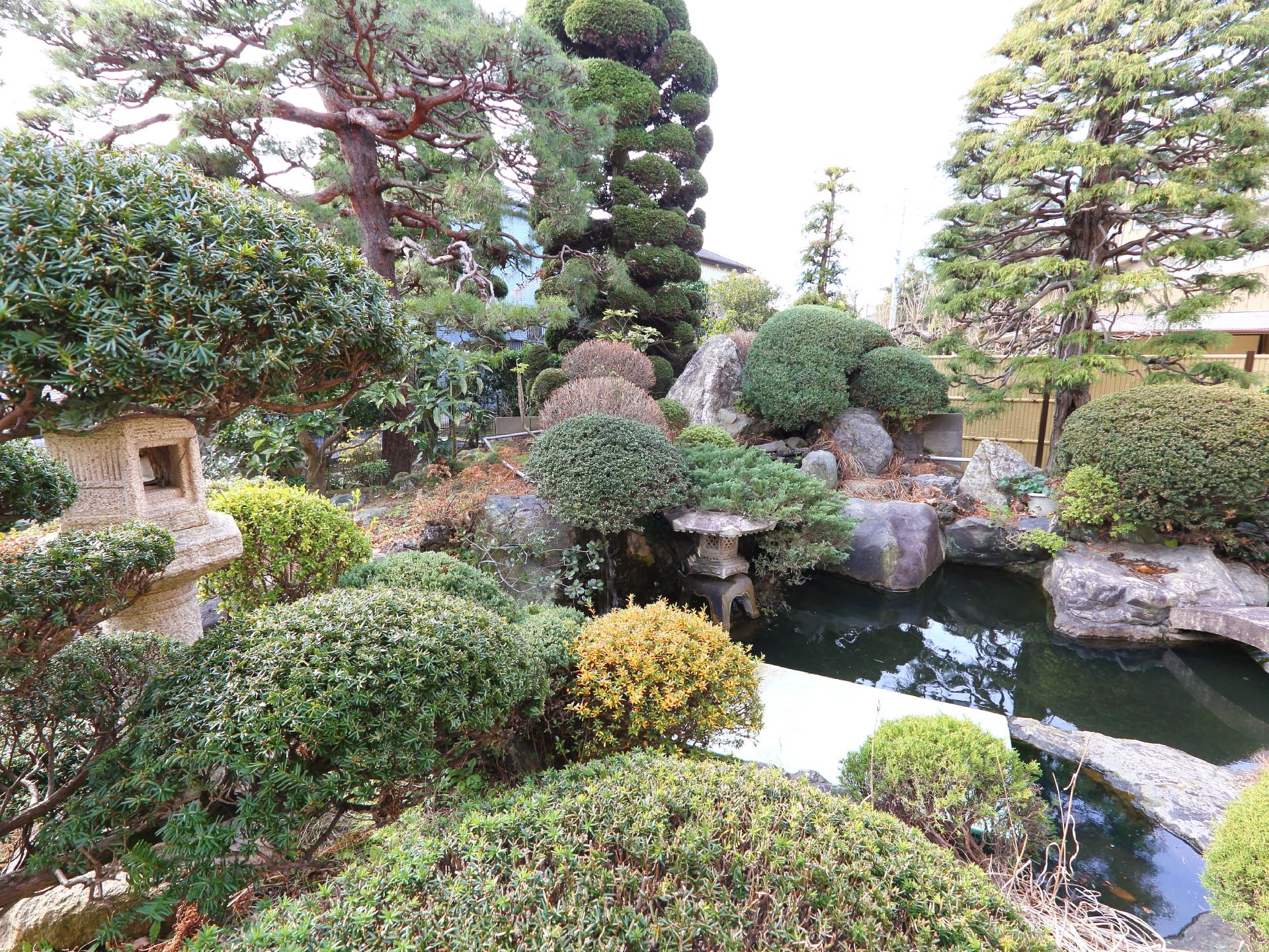 日本庭園は小さな池の周りにたくさんの種類の木々が植えられている。小さな木は丸い形に、大きな木は枝もきれいにカットされている。