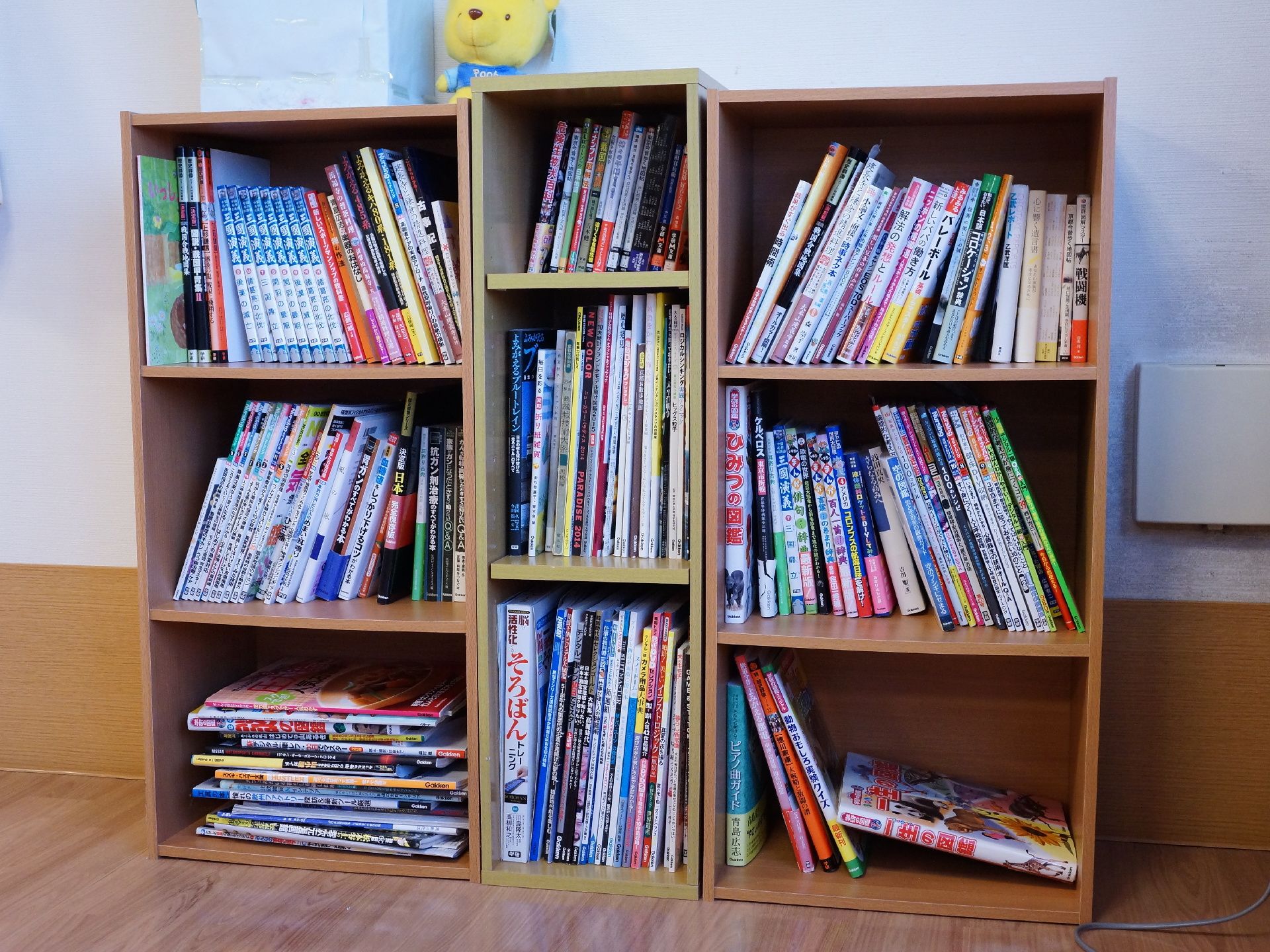 リビングにはカラーボックスが3つ置かれていて本棚になっている。専門書から図鑑まで様々なジャンルの本が納められている。