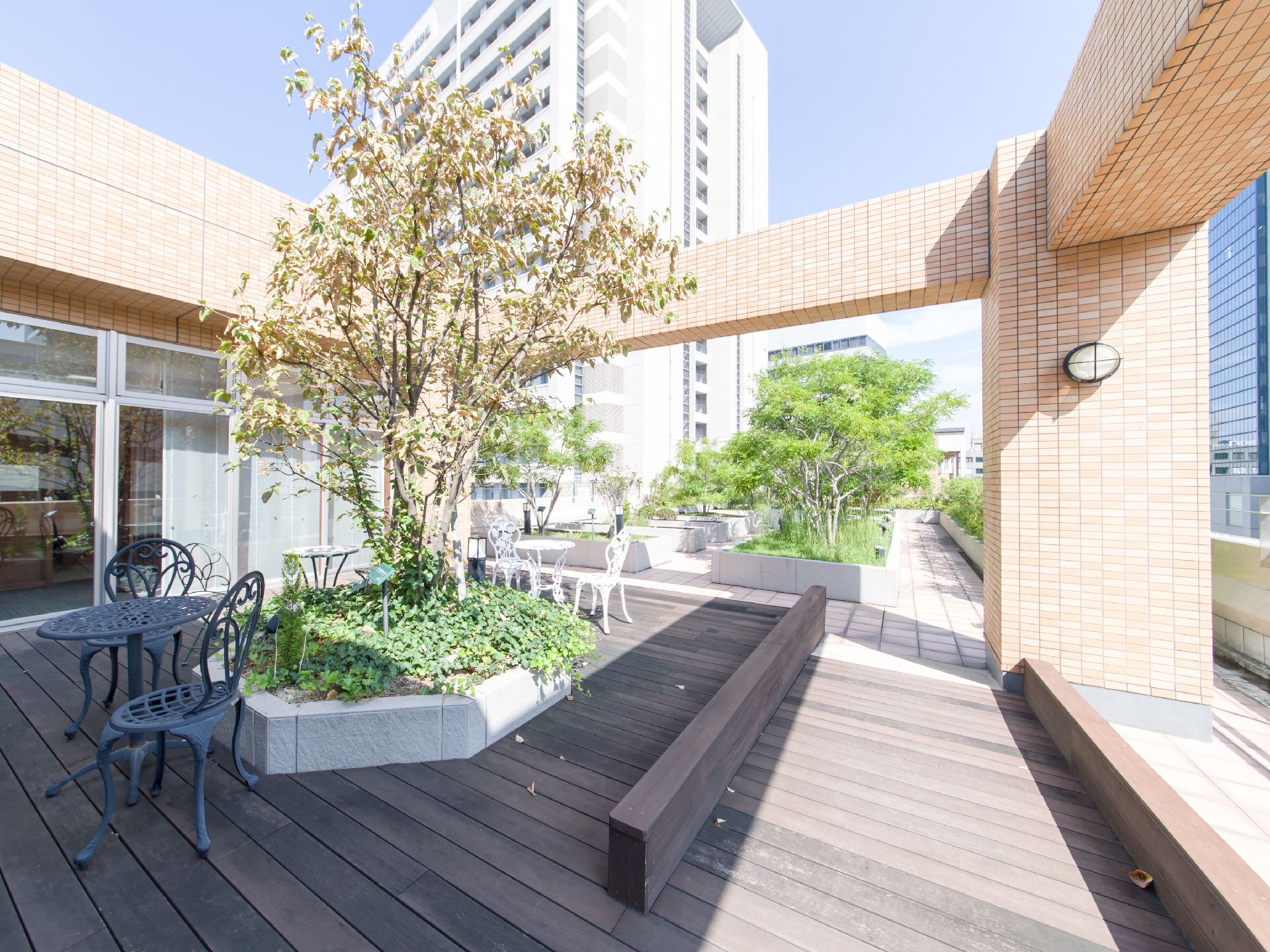 屋上にはテラスがあり、ウッドデッキになっている。大きな木が植えられていて、その周りを囲むように花壇のようになっている。