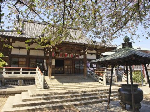 施設のそばには有名な寺院があり、お参りはもちろんお散歩をすることができる。敷地内には、たくさんの木が植えられている。