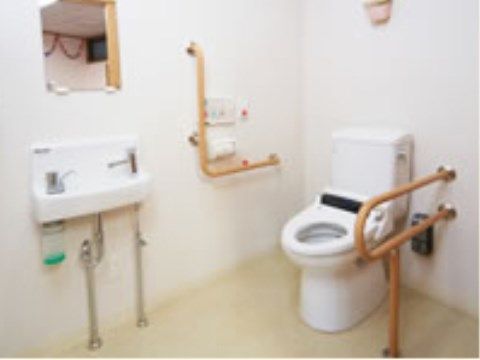 独立した手洗いとその前に鏡があり、横にはＬ字型の手すりと非常用ブザーがある。温水洗浄式便座の左側には、床からＵ字型の手すりが伸びている。
