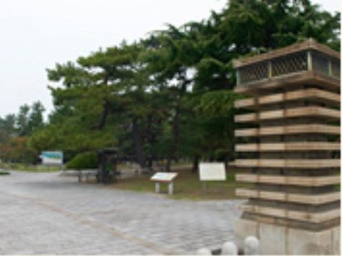 施設周辺には公園がある。木が多く茂っており、自然が楽しめる。園内は広いので、車椅子をご利用の方もスムーズに移動できる。